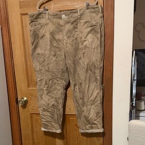 Anthropologie Light Denim Painters’s Pants in Tan Dye